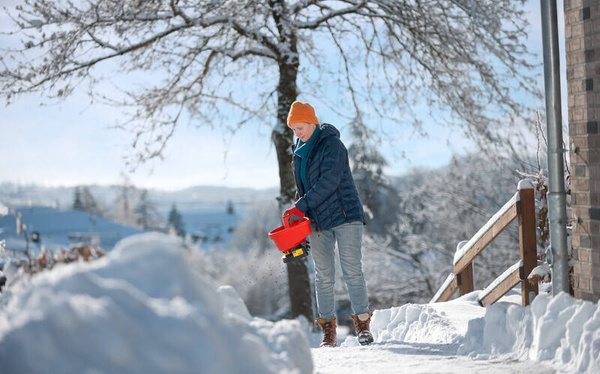 Siewnik na baterie Wolf Garten WE-B