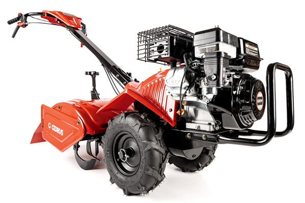 Glebogryzarka spalinowa Cedrus GLX-GT65-2L