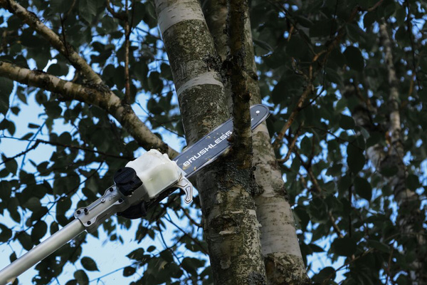 Podkrzesywarka Dewalt DCMPS635N