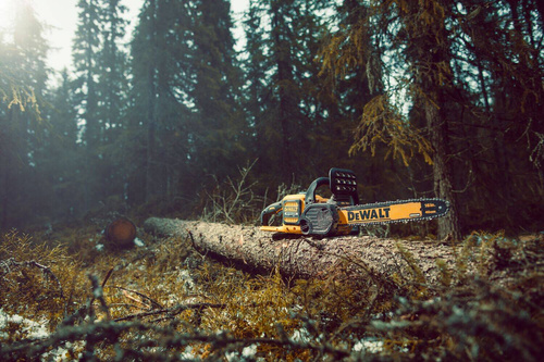 Pilarka łańcuchowa Dewalt DCM575X1