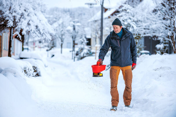 Siewnik na baterie Wolf Garten WE-B