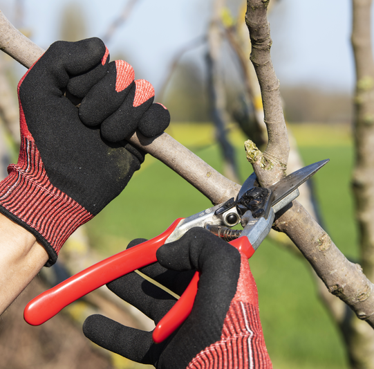 Sekator FELCO 13 27 cm