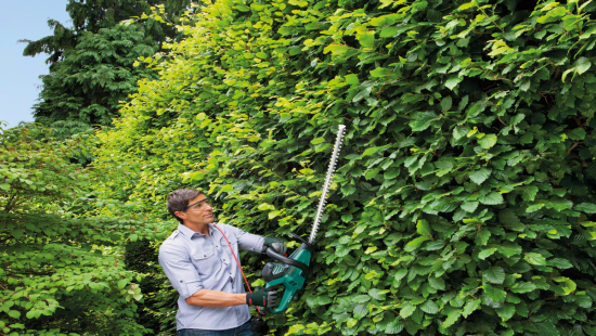 Sekator do żywopłotu Bosch AHS 70-34