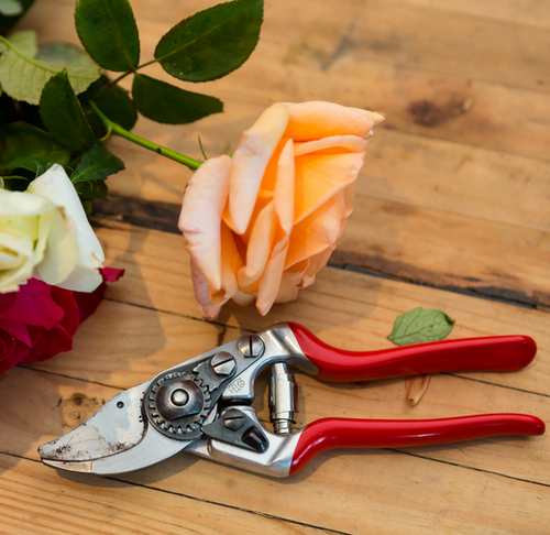 Sekator FELCO 14 18 cm