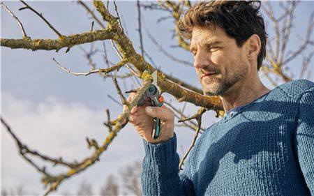 Sekator ogrodowy ExpertCut GARDENA 12203-20