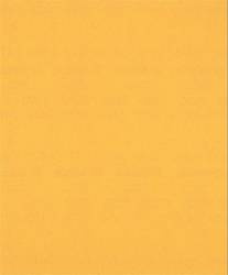 Rolki papieru ściernego do szlifowania ręcznego EXPERT C470 230 mm x 280 mm, G 220