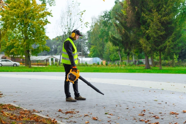 Odkurzacz do liści Cedrus DM03 2W1 CEDDM03 2IN1