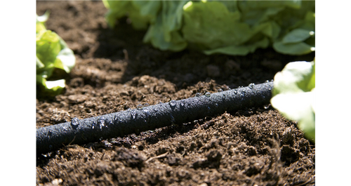 Gardena Wąż nawadniający 15 m Gardena 01969-20