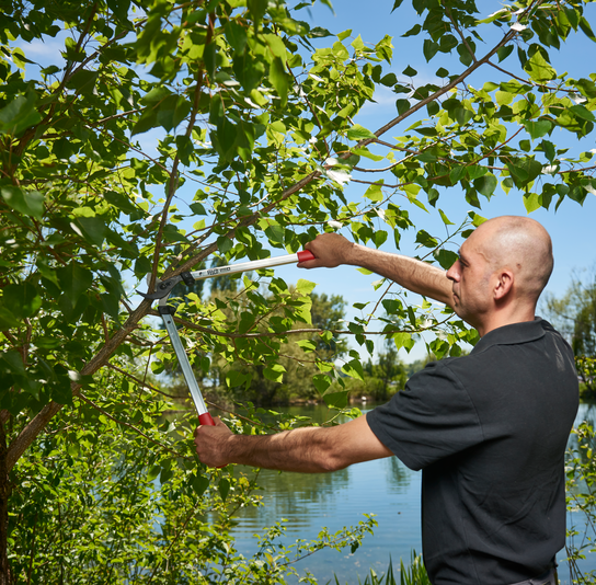 Sekator FELCO 211-60 60 cm