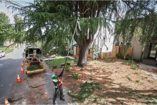 Podkrzesywarka teleskopowa Milwaukee M18 FTPS30-121