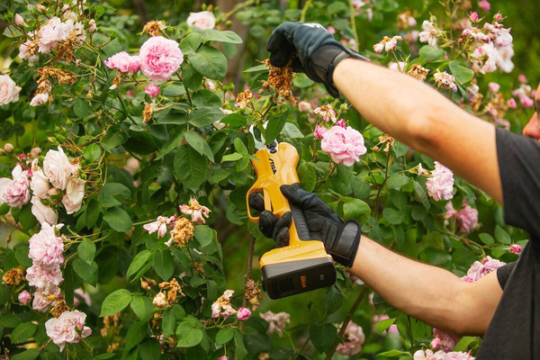 Sekator akumulatorowy Stiga SC 100e 2.0 Ah