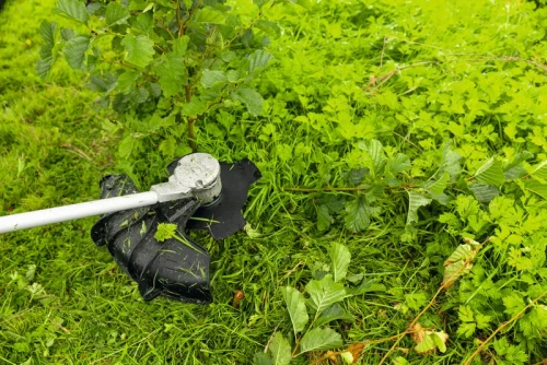 Ostrze do wykaszarek 25 cm, 4T Bosch F016800665