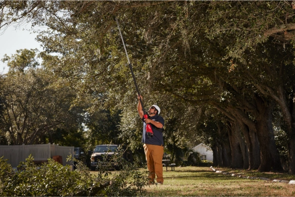 Sekator teleskopowy do gałęzi Milwaukee M18 BLTS-0