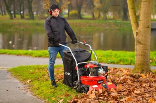 Materiałowy kosz do odkurzacza Cedrus LV58S 9500122