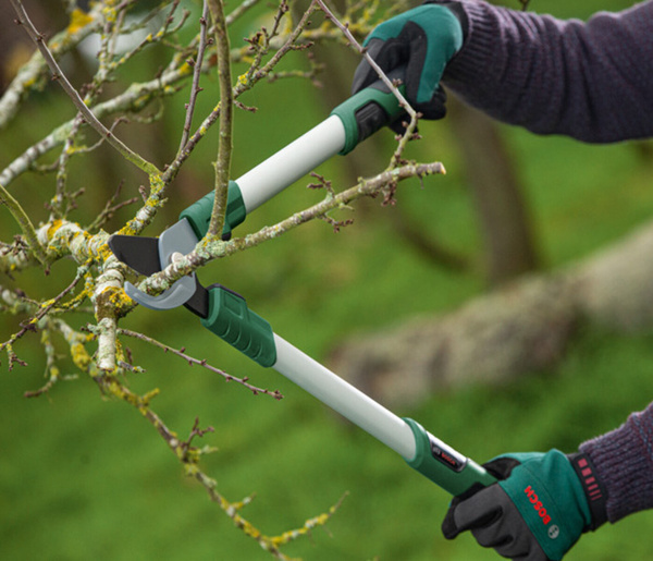 Sekator do gałęzi ręczny Bosch 06008B5100