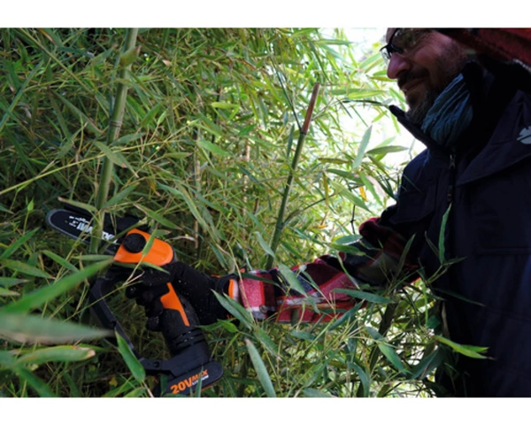 Pilarka akumulatorowa do gałęzi Worx WG324E.9