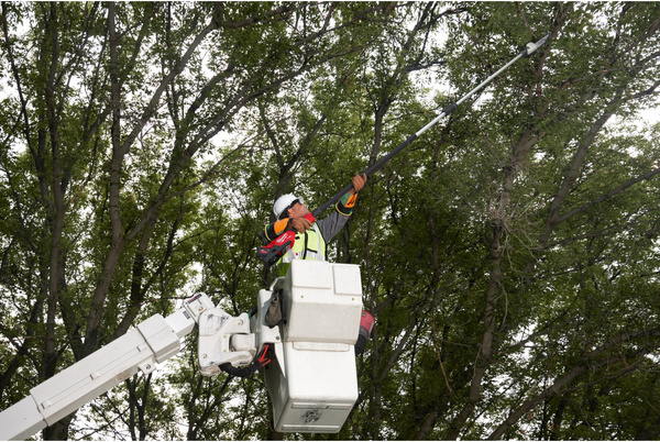 Podkrzesywarka teleskopowa Milwaukee M18 FTPS30-121