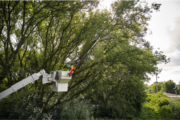 Podkrzesywarka teleskopowa Milwaukee M18 FTPS30-0