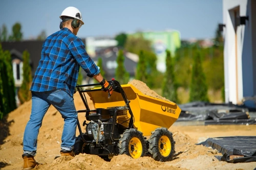 Transporter spalinowy Cedrus TR300