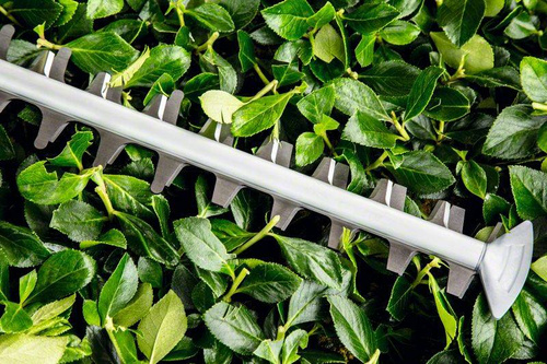 Nożyce do żywopłotu Bosch UniversalHedgeCut 50