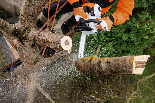 Pilarka spalinowa Stihl MS 201 TC-M 35 cm; 3/8”; PM3; 1,3 E-Light