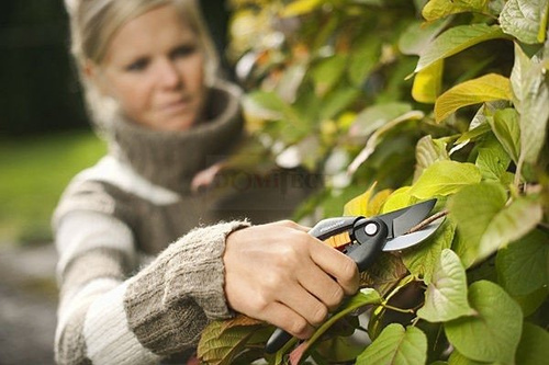 Sekator kowadełkowy Fiskars P25