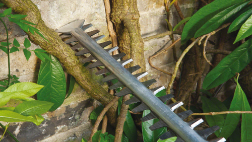 Sekator do żywopłotu Bosch AHS 45-26