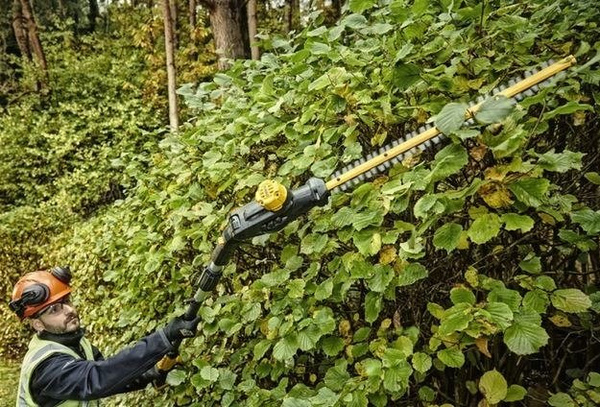 Nożyce do żywopłotu Dewalt DCMPH566N