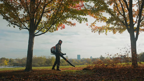 Dmuchawa do liści pldecakowa Stihl BRA 500 BA070115900