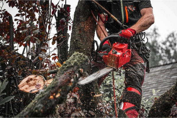 Pilarka łańcuchowa akumulatorowa Milwaukee M18 FTHCHS35-802