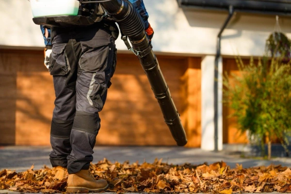 Dmuchawa do liści spalinowa Cedrus DM05PRO CEDDM05PRO