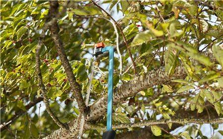 Piła kabłąkowa Combisystem GARDEN 00691-20 