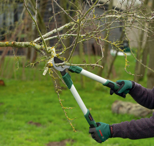 Sekator do gałęzi ręczny Bosch 06008B5100