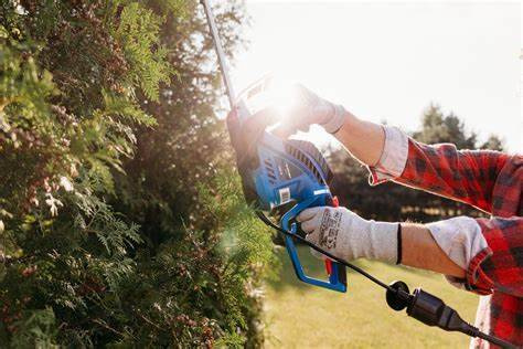 Nożyce do żywopłotu Blaupunkt HT6010