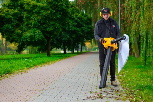 Odkurzacz do liści Cedrus DM03 2W1 CEDDM03 2IN1