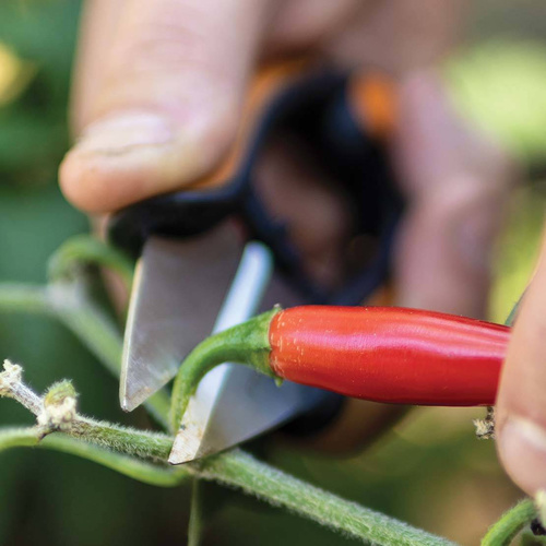 Nożyczki do ziół Fiskars SP220