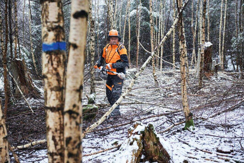 Podkrzesywarka Stihl HTA 150 LA012000020