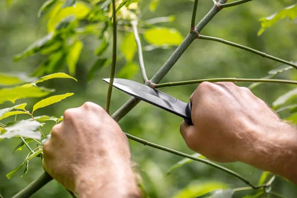 Nóż taktyczny NEO Tools 63-108 22 cm