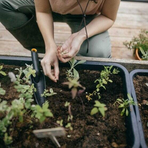 Łopatka wąska Fiskars Solid 1072101