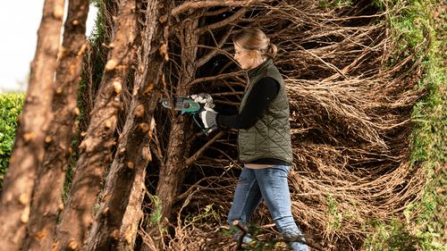 Mini pilarka łańcuchowa Bosch EasyChain 18V-15-7 06008B8901