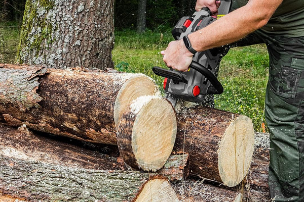 Pilarka spalinowa Graphite 58G943