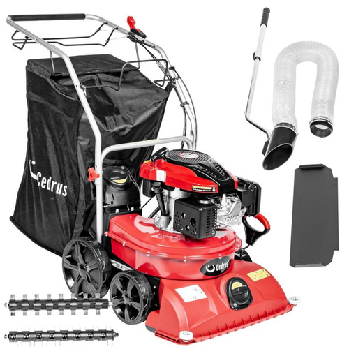 Ogrodowy odkurzacz do liści Cedrus LV58S 4w1