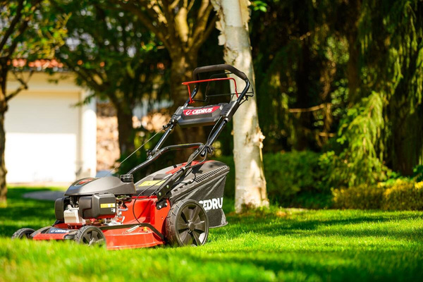 Kosiarka spalinowa z napędem Cedrus KS53S-H AL z silnikiem Honda