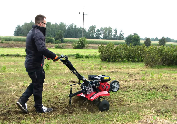 Glebogryzarka spalinowa Cedrus GL05