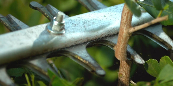 Akumulatorowe nożyce do żywopłotu Stihl HSA 60 HA060113548