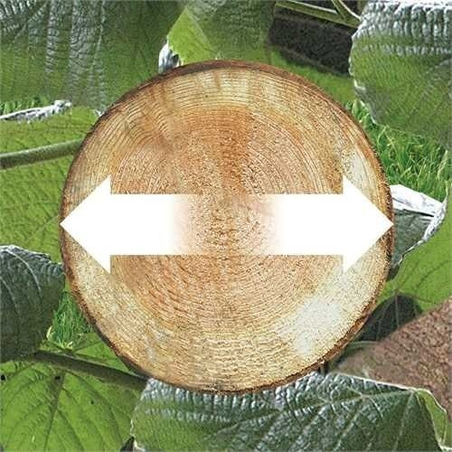 Akumulatorowa pilarka łańcuchowa 18V Black&Decker GKC1820L20-QW