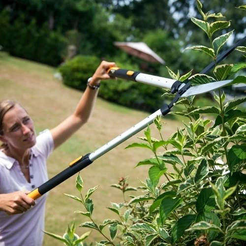 Ręczne nożyce do żywopłotu Fiskars 1013565