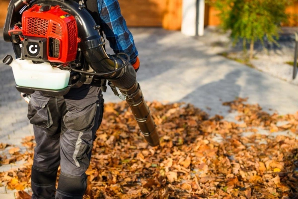 Dmuchawa do liści spalinowa Cedrus DM05PRO CEDDM05PRO