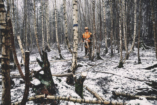 Podkrzesywarka Stihl HTA 150 LA012000020