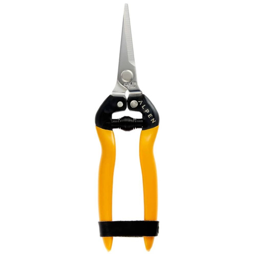 Sekator Alpen Rigi 300